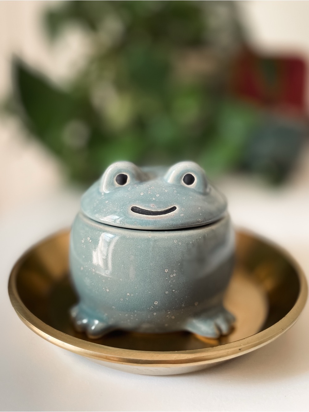 Adorable Green-Grey Ceramic Frog Trinket Keepsake Jar